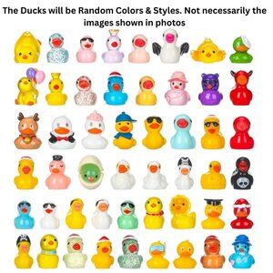 Ducks Mini Resin Mixed Colors & Styles, 25pcs, Many Non-Useful Reasons to Buy!